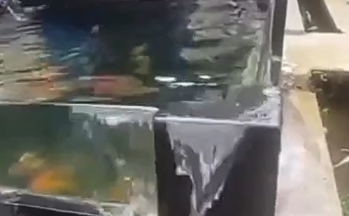 Sukabumi Terguncang Air Pun Tumpah Waspada Gempa Susulan