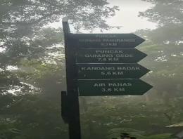 Gempa Vulkanik Gunung Gede, Pemerintah Didesak Gelar Simulasi Kebencanaan